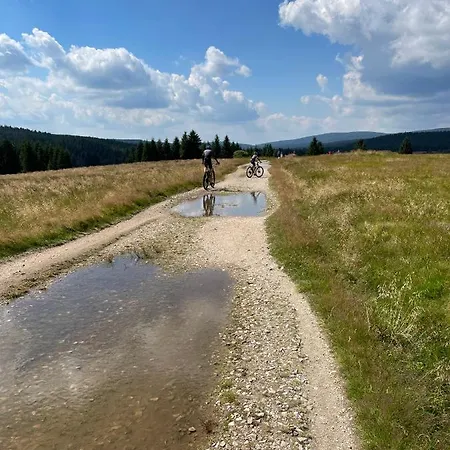 Daire Woodyou - Izerski *