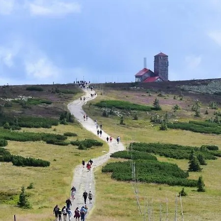 Woodyou - Izerski Daire Świeradów-Zdrój