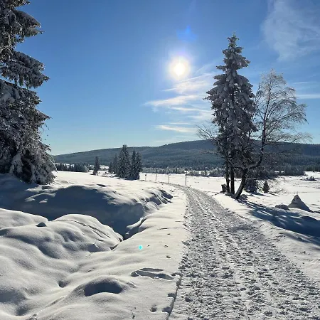 Daire Woodyou - Izerski