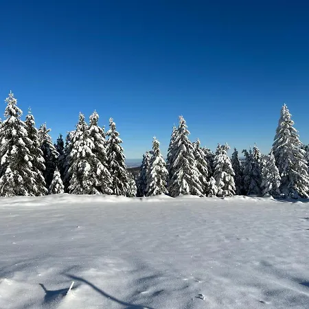 Woodyou - Izerski * Swieradow-Zdroj