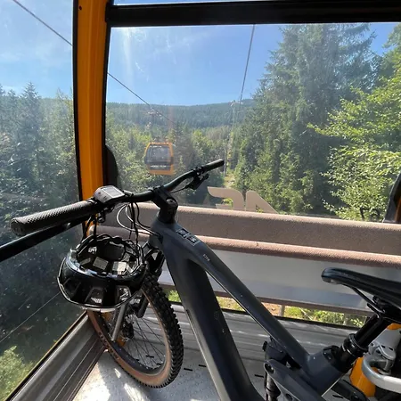 Woodyou - Izerski Daire *