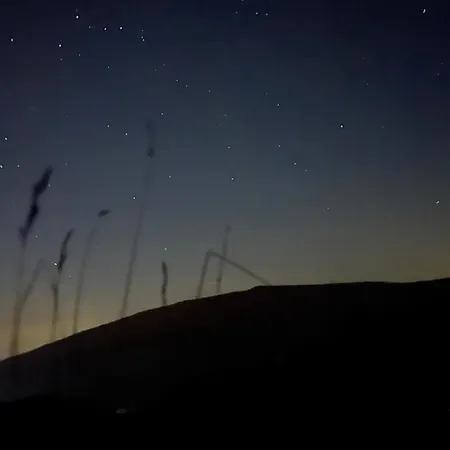 Daire Woodyou - Izerski