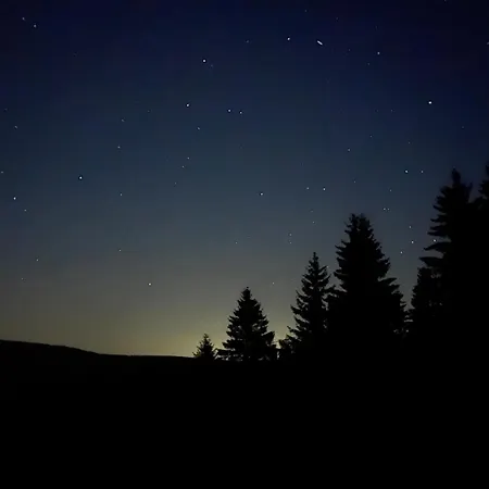 Woodyou - Izerski *