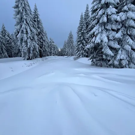 Woodyou - Izerski * Swieradow-Zdroj