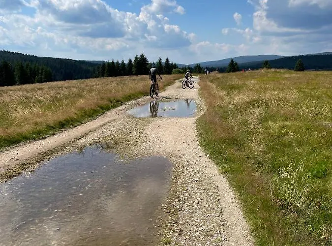 Appartamento Woodyou - Izerski *