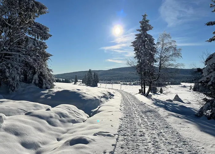 Appartement Woodyou - Izerski