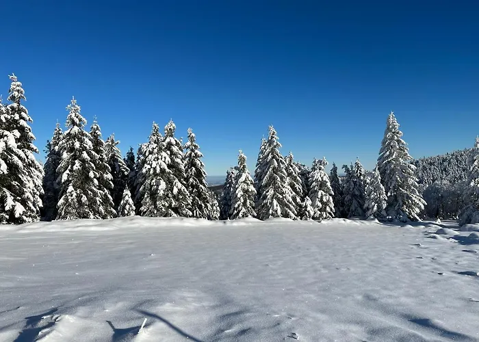 Woodyou - Izerski * Świeradów-Zdrój