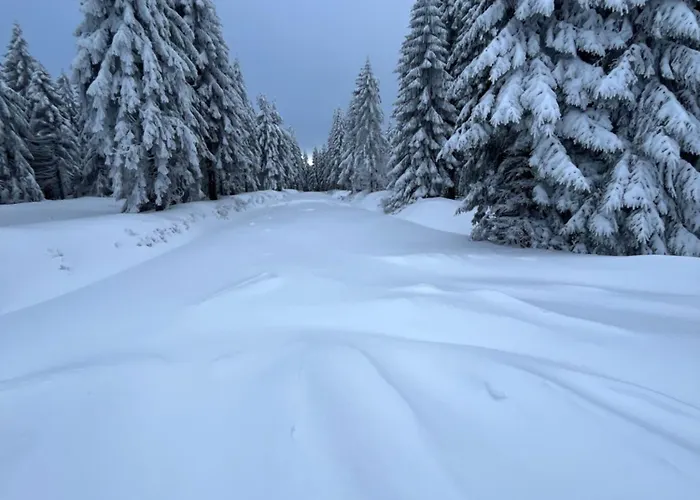 Woodyou - Izerski * Świeradów-Zdrój