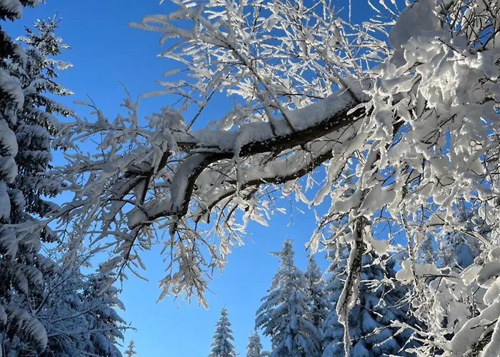 Appartement Woodyou - Izerski