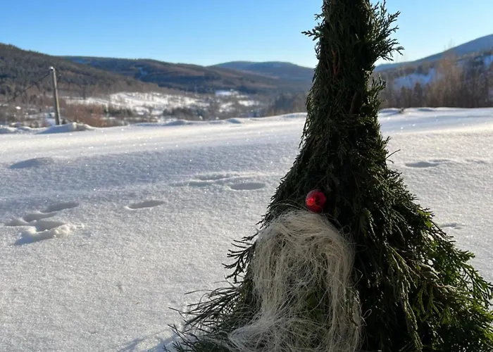 Woodyou - Izerski Appartamento *